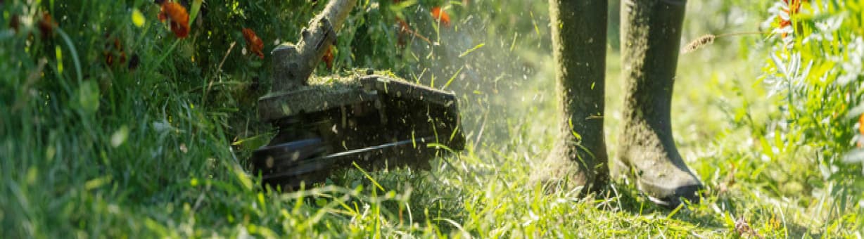 Le printemps, la saison clé pour sublimer son jardin&nbsp;!